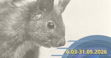 Niepołomice konkurs Wiosna w obiektywie! Chwyć za aparat i poczuj wiosnę!