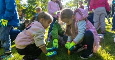 Park św. Kingi i 100 000 krokusów przy Kopalni Soli „Wieliczka” krokusy w Parku św. Kingi