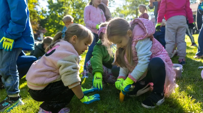 Park św. Kingi i 100 000 krokusów przy Kopalni Soli „Wieliczka” krokusy w Parku św. Kingi